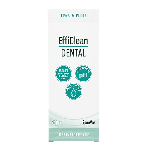 EffiClean Dental