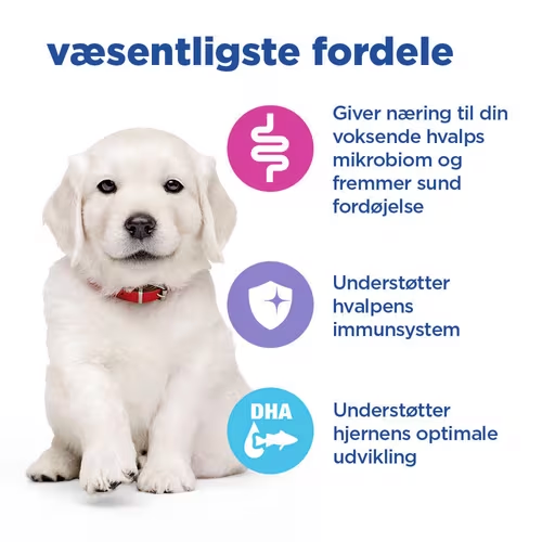 Hill's VE Puppy Multi-Benefit Large Breed, Chicken