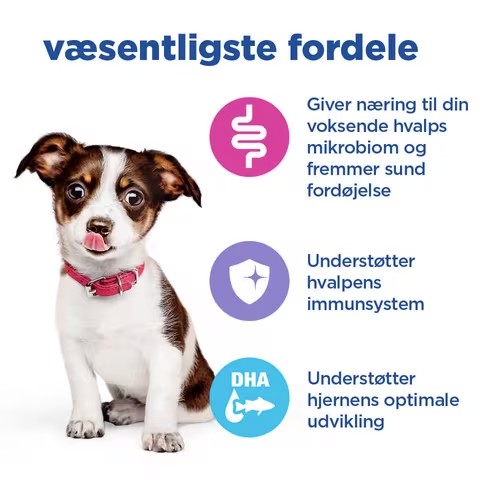 Hill's Vet Essentials Multi-Benefit Puppy Medium, hvalpefoder