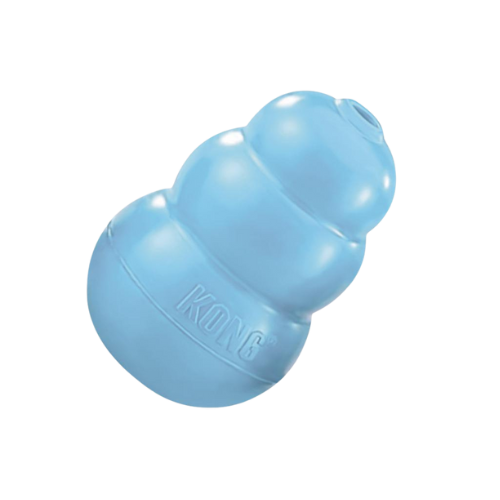 KONG Puppy