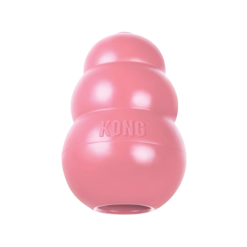 KONG Puppy