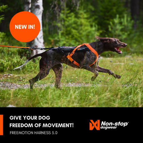 Non-stop Dogwear Freemotion Harness 5.0