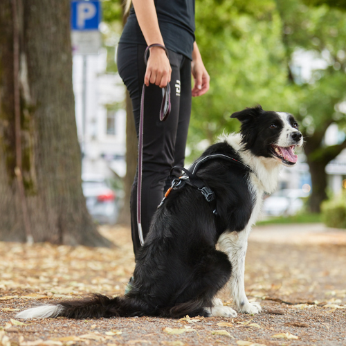Non-stop Dogwear Move Leash, Black