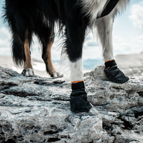 Non-stop Dogwear Protector Bootie