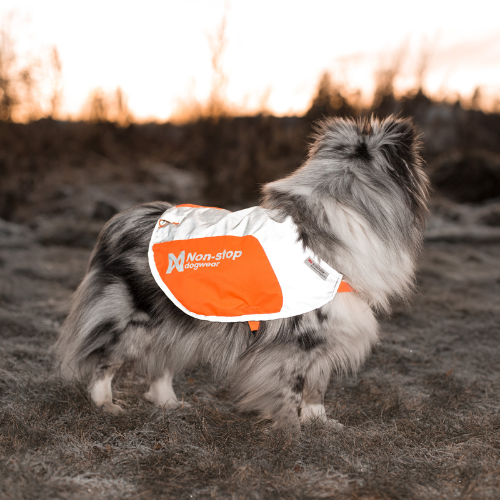 Non-stop Dogwear Reflection Blanket