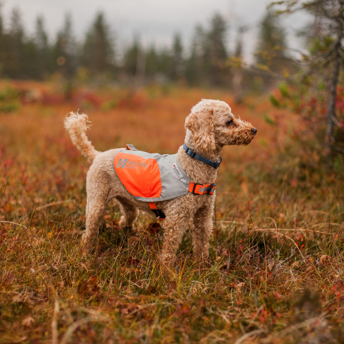 Non-stop Dogwear Reflection Blanket