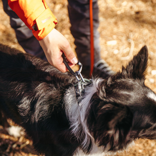 Non-stop Dogwear Roam Collar, Black