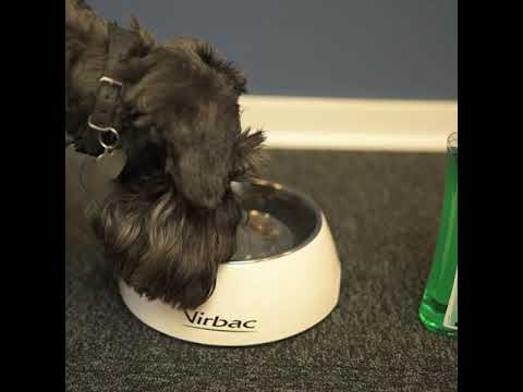 Dosering af Vet Aquadent FR3SH fra Virbac