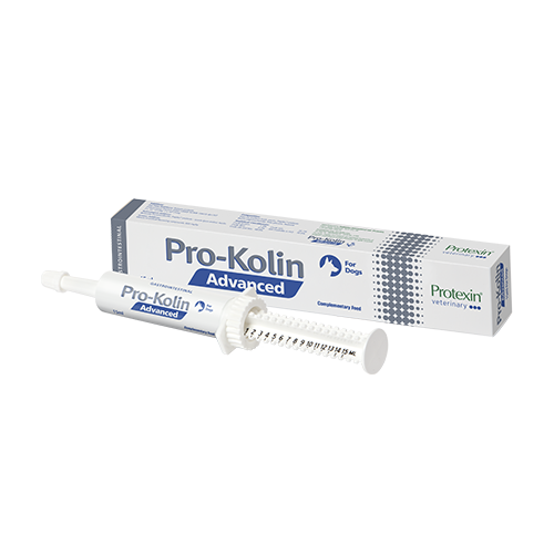 Pro-Kolin Advanced Hund, 15ml