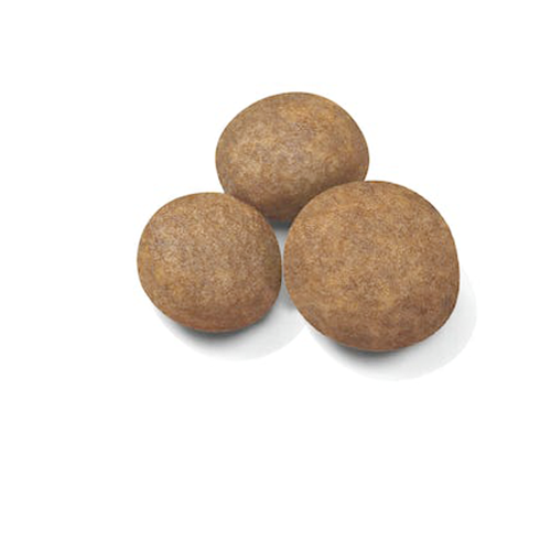 Royal Canin Maxi Puppy tørfoder til store hvalpe