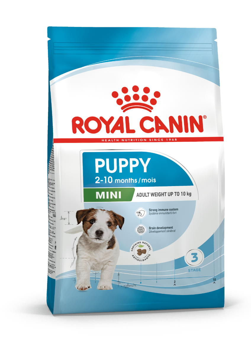 Royal Canin Mini Puppy Tørfoder til Hvalp, 4 kg til hvalpe af små race. I løbet af deres intense vækstperiode har de brug for at få deres kaloriebehov dækket og at få de rigtige næringsstoffer, til støtte af en sund vækst. Køb foderet her. 