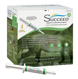 SUCCEED DC Paste