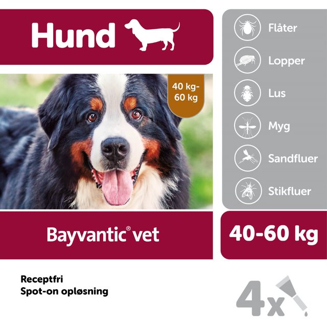 Bayvantic vet til hunde 40-60 kg, mod lopper, lus og flåt