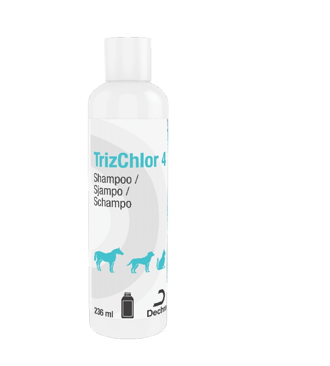 TrizChlor4 Shampoo
