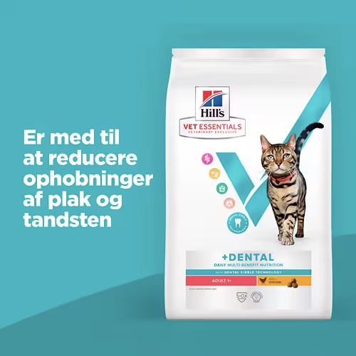 Hill's kattefoder med dental foderpilleteknologi,
