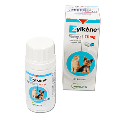 Zylkene til hunde og katte