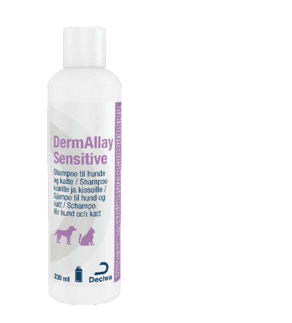 DermAllay Sensitive Shampoo, 230 ml │ webshop