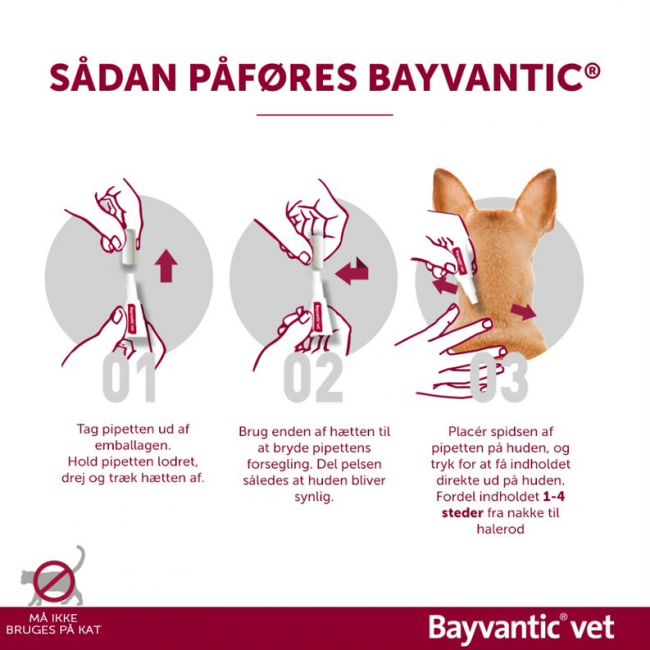 Monumental Miljøvenlig frelsen Bayvantic til hunde 25-40 kg, mod lopper, lus og flåt